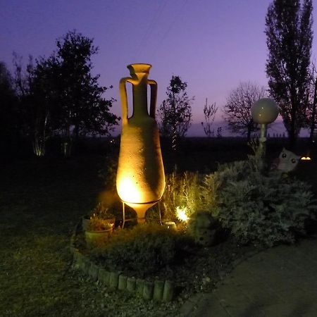 בולוניה B&B Via Punta 8 מראה חיצוני תמונה